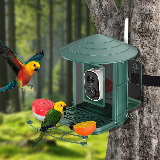Rywell AI-Powered Solar Smart Bird Feeder – Metal Cage, Portable, Wind & Rain Resistant