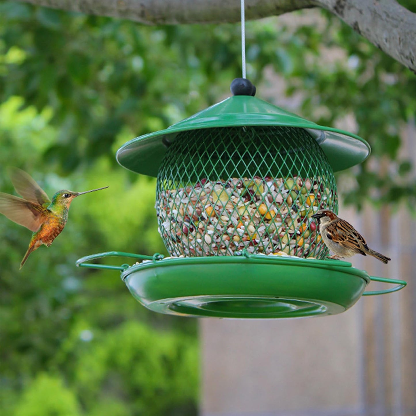 Rywell Squirrel Proof Bird Feeders for Outdoors, Large Capacity, Heavy Duty Metal Bird Feeder, Supports Cardinal, Finch, Blue Jay and Wild Birds