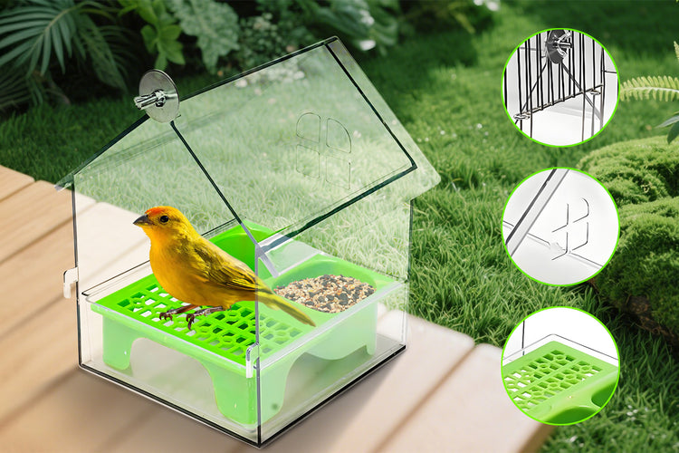 3-in-1 Bird Feeder Bath and Play Combo