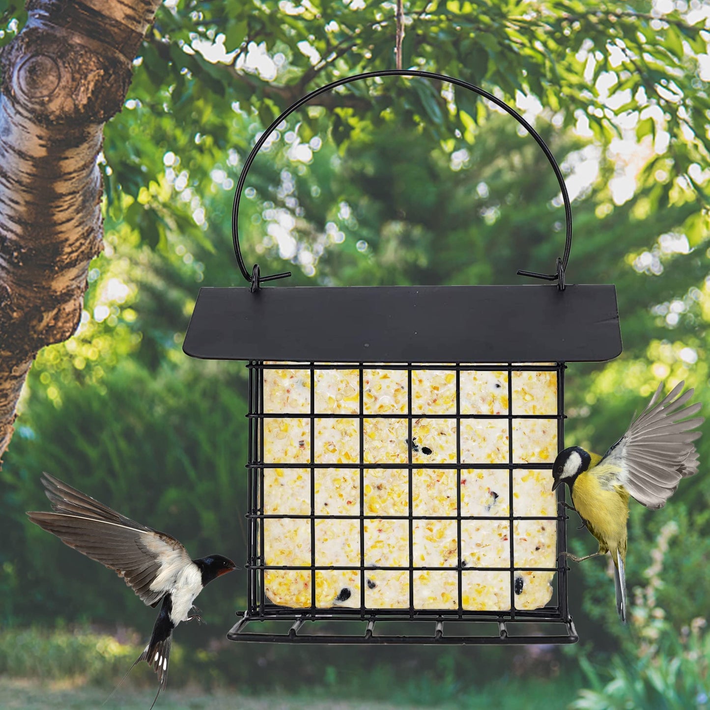 Rywell Squirrel Proof Suet Feeder, Heavy-Duty Metal Hanging Bird Feeder for Outside, Weatherproof Suet Cage for Woodpeckers & Wild Birds, Garden Suet Cake Holder