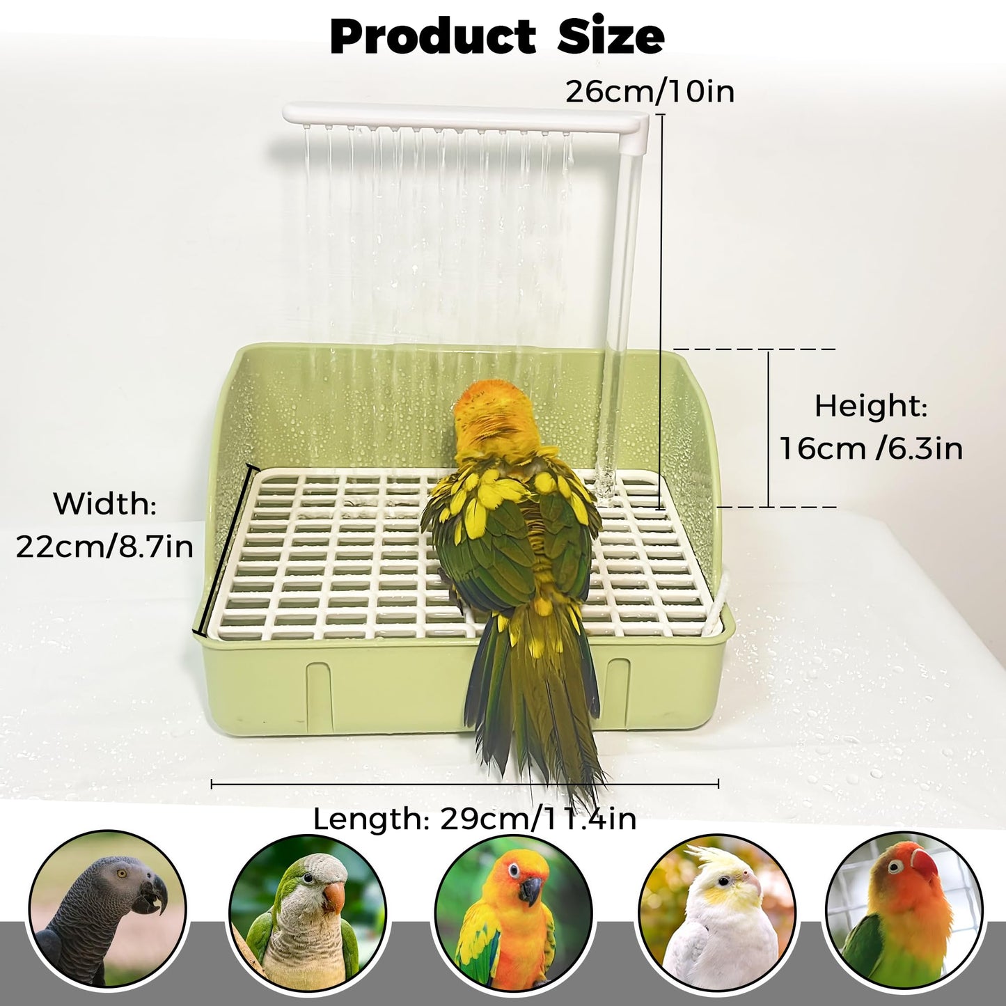 Rywell Automatic Parakeet Bird Bath with Pump, Large Bird Shower Fountain Indoor Bathtub with Running Water, Parrot Bath Tub Faucet for Pet Birds, African Grey, Cockatiel, Conure, Budgie, Lovebird