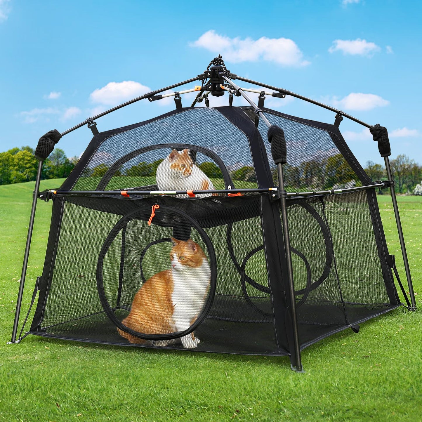 Tenda per gatti Rywell Catio Extra Large da esterno, tenda per gatti Rywell a 2 livelli per patio, balcone, interni e campeggio, recinto pieghevole per gatti da esterno con finestre, resistente alle intemperie e al sole (borsa per il trasporto inclusa)
