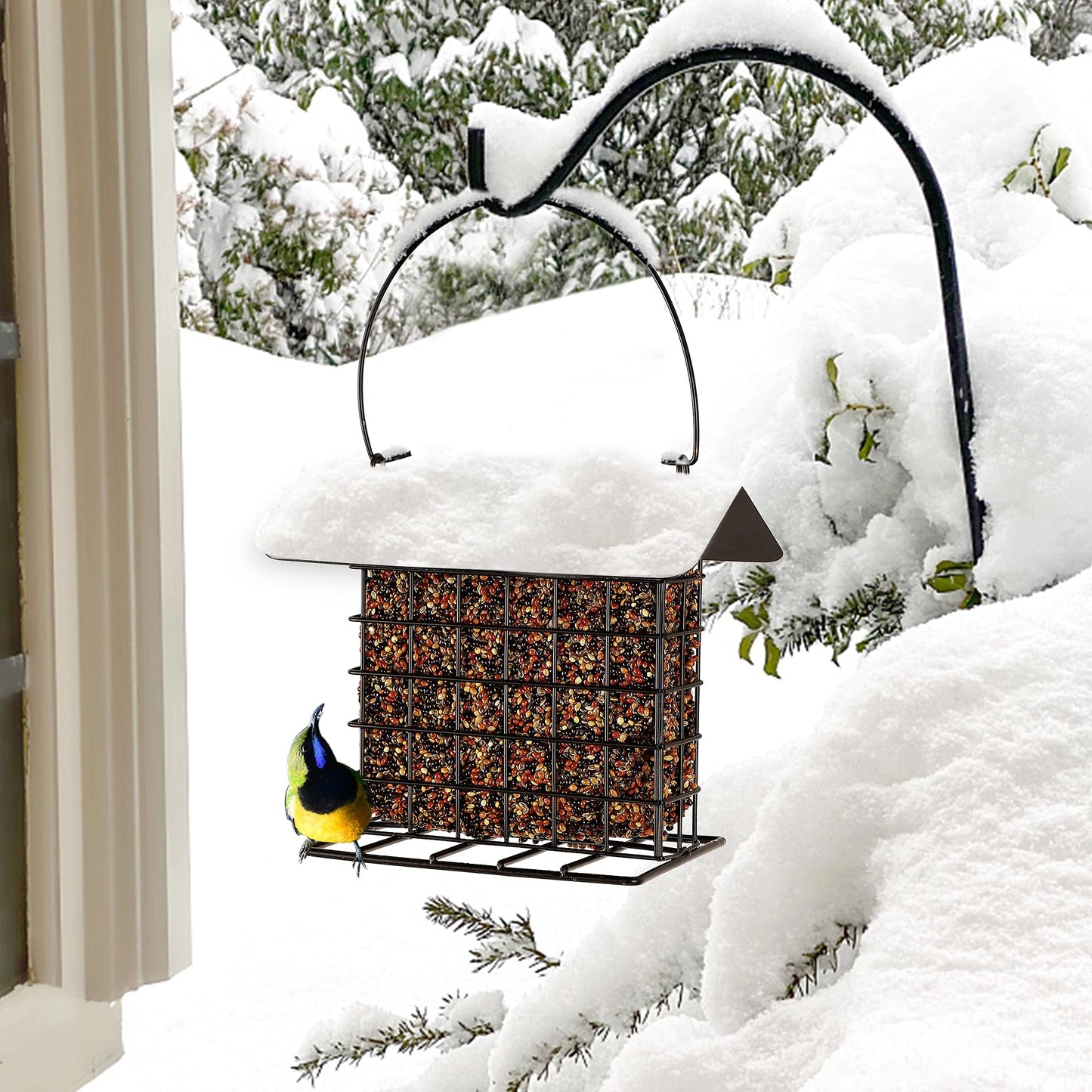 Rywell Squirrel Proof Suet Feeder, Heavy-Duty Metal Hanging Bird Feeder for Outside, Weatherproof Suet Cage for Woodpeckers & Wild Birds, Garden Suet Cake Holder