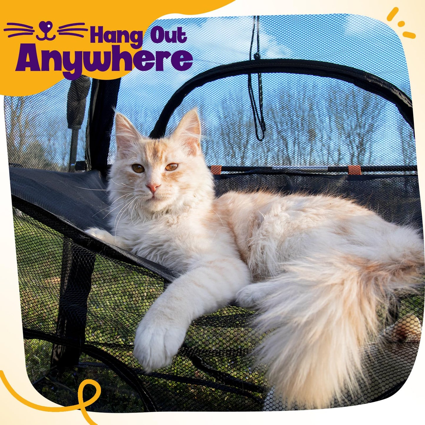 Tenda per gatti Rywell Catio Extra Large da esterno, tenda per gatti Rywell a 2 livelli per patio, balcone, interni e campeggio, recinto pieghevole per gatti da esterno con finestre, resistente alle intemperie e al sole (borsa per il trasporto inclusa)