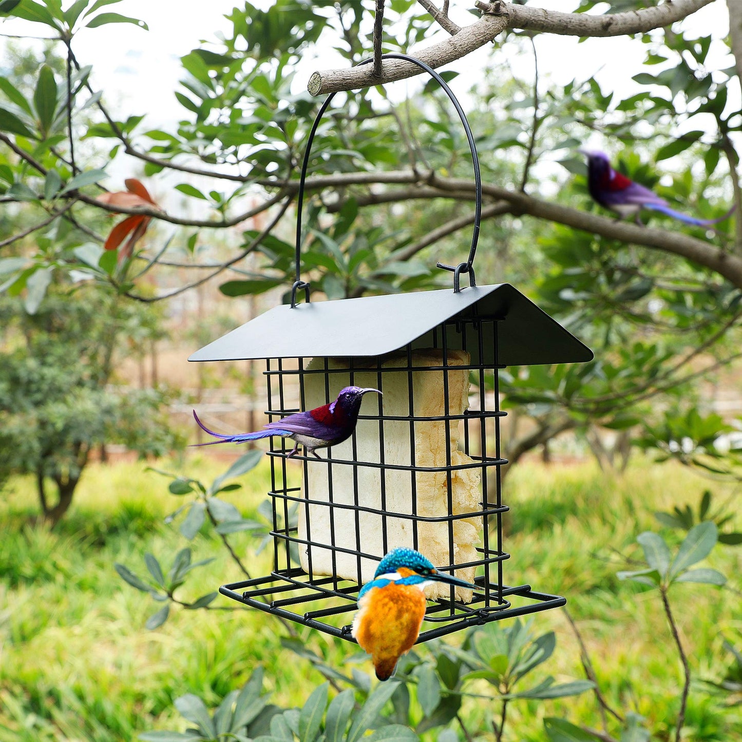 Rywell Squirrel Proof Suet Feeder, Heavy-Duty Metal Hanging Bird Feeder for Outside, Weatherproof Suet Cage for Woodpeckers & Wild Birds, Garden Suet Cake Holder