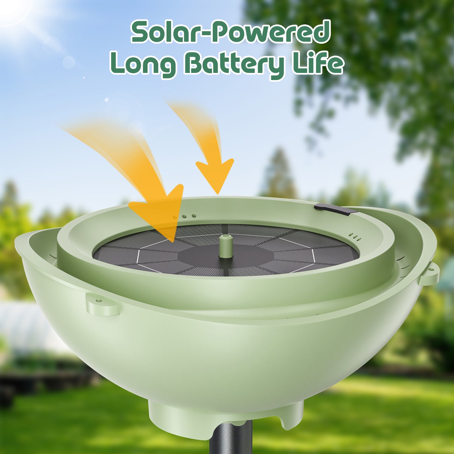 Bagno solare per uccelli Rywell con sistema automatico di riciclo e filtraggio dell'acqua