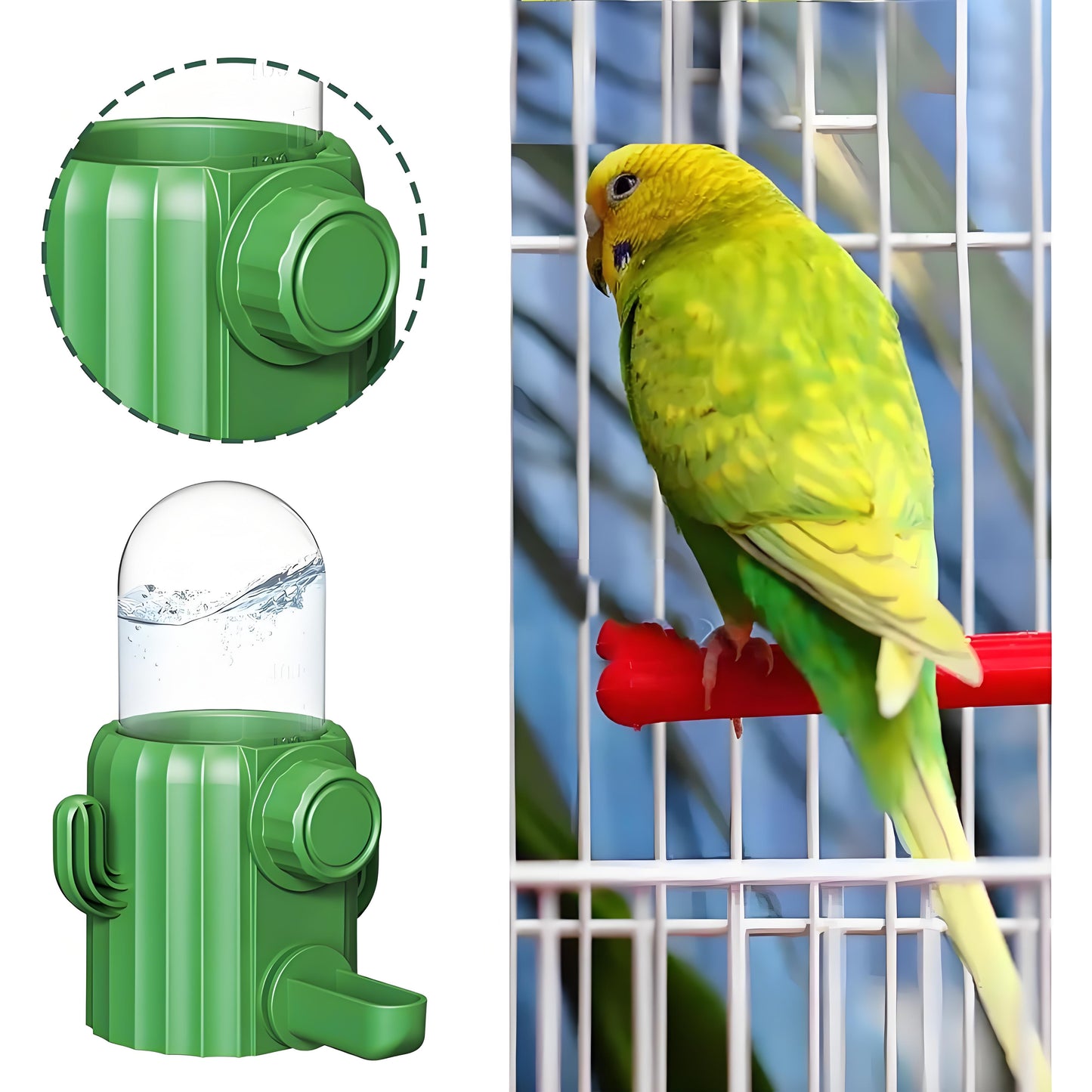 Rywell Bird Water Dispenser - Parakeet Water Dispenser, Automatic Cactus Dispenser Parrot Water Feeder | Parakeet Drinker Bird Cage Accessories, Waterer Feeding Supplies for Cockatiel Lovebirds Canary