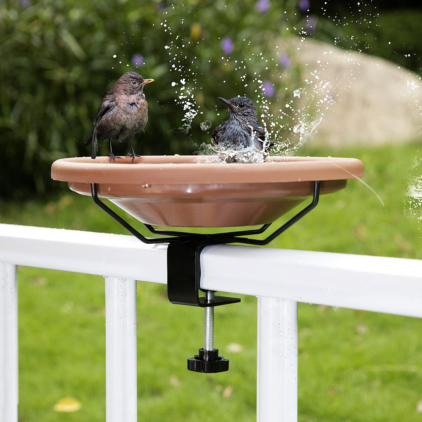 Rywell Bird Bath Deck Mounted Bowl 12 Inches, Balcony Railing Birdbaths Unheated, Bird Bath Fence Clamp Detachable