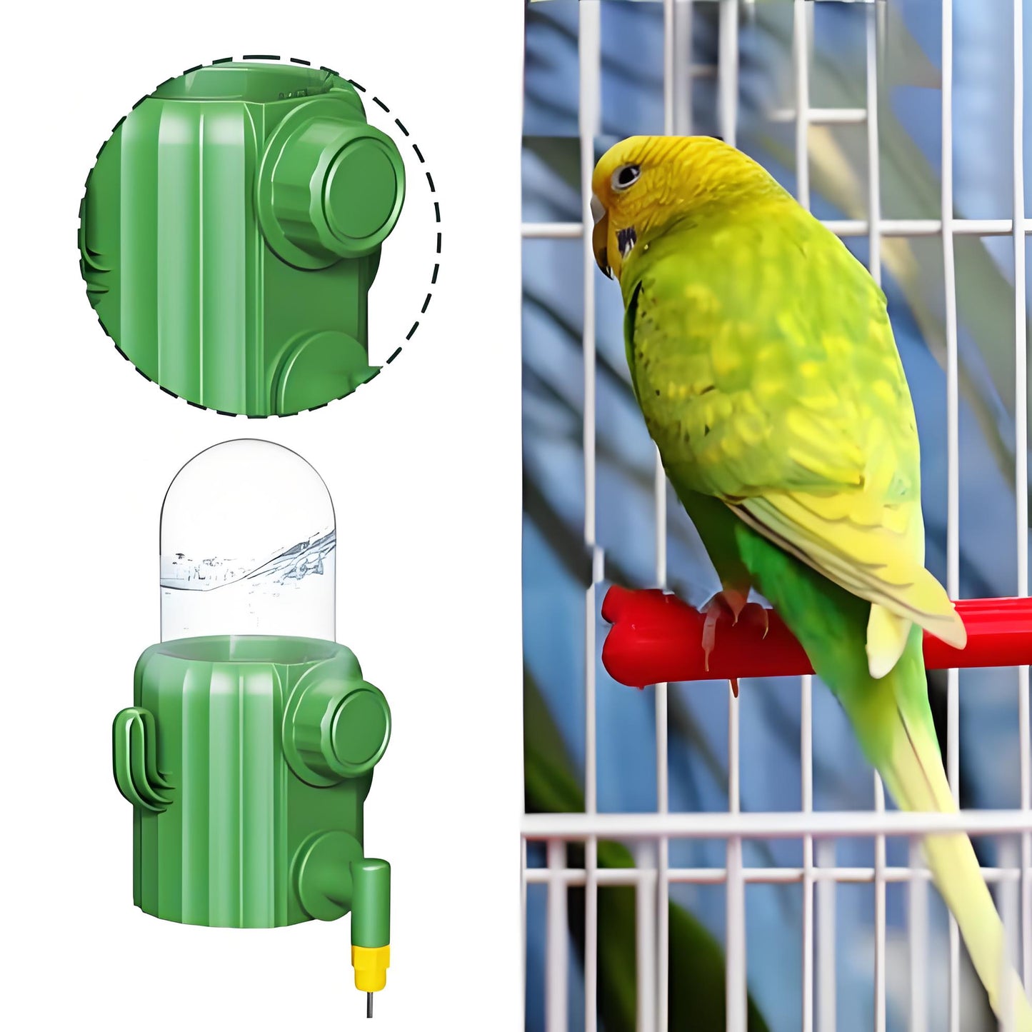 Rywell Bird Cage Water Dispenser - Birds Water Feeder, Bird Water Feeder | Parakeet Drinking Dispenser, Automatic Cactus Waterer Parrot Drinker, Birds Dispenser Supplies for Lovebirds Canary Budgies
