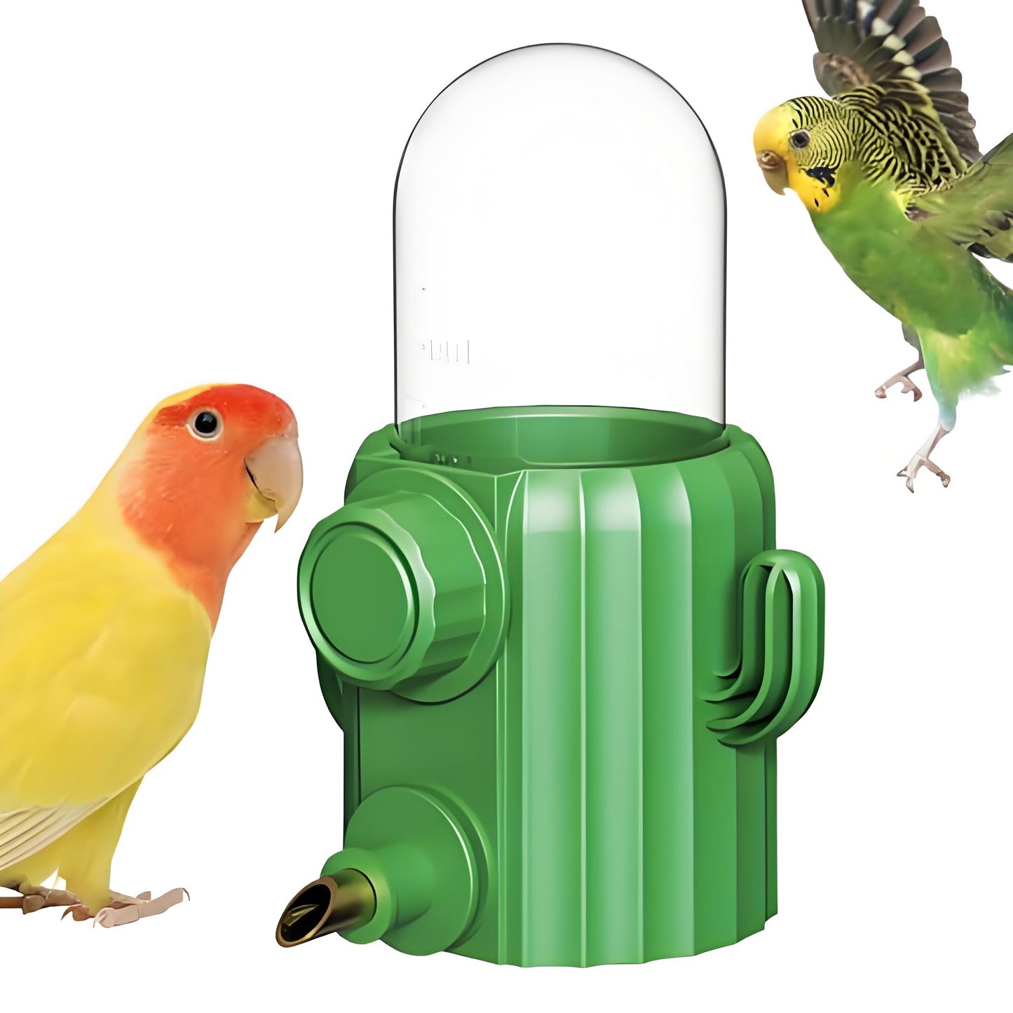 Rywell Bird Cage Water Dispenser - Birds Water Feeder, Bird Water Feeder | Parakeet Drinking Dispenser, Automatic Cactus Waterer Parrot Drinker, Birds Dispenser Supplies for Lovebirds Canary Budgies