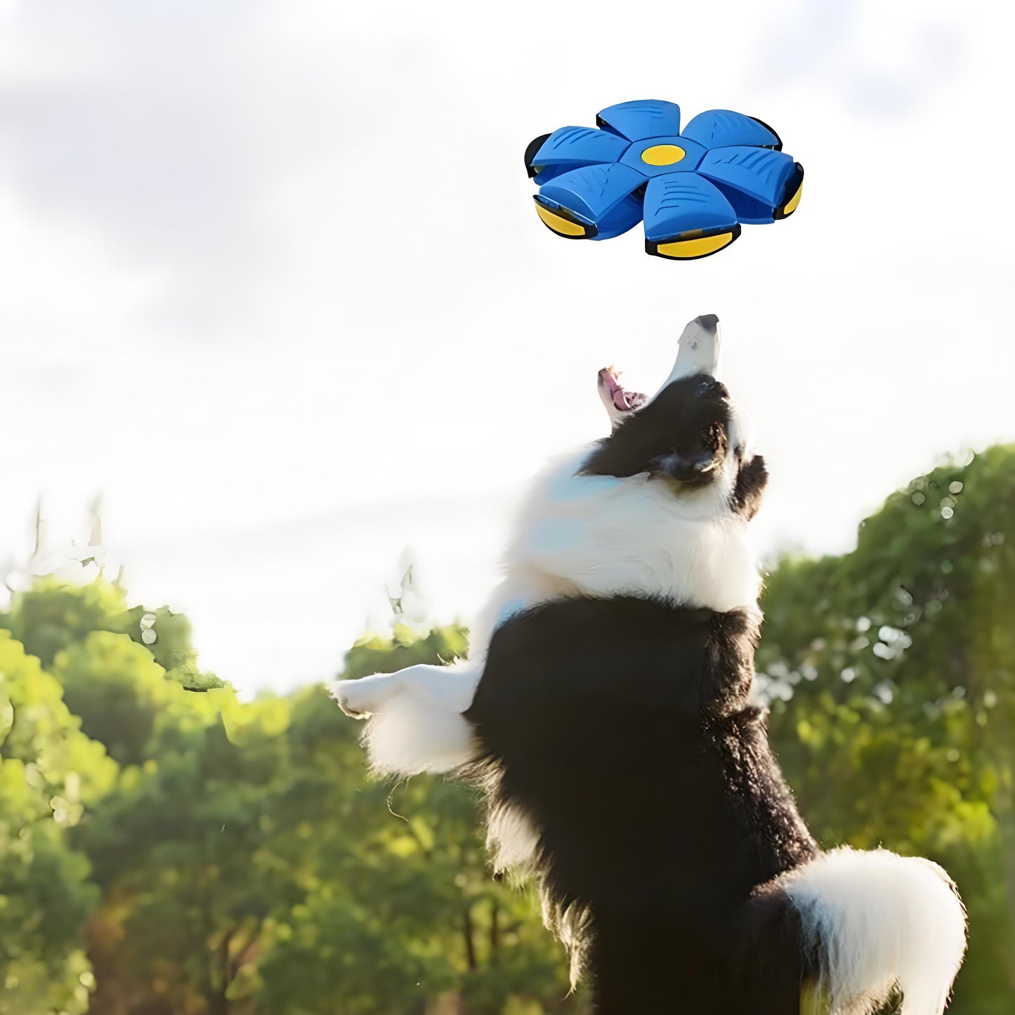 Rywell Transforming Elastic Flying Disc Ball Magic Educational Pet Toy