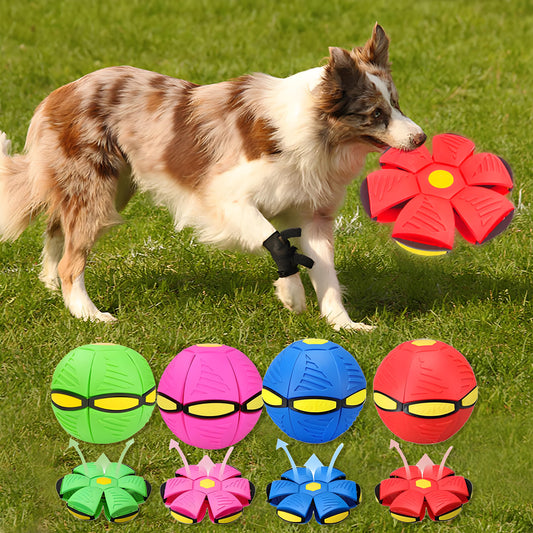 Rywell Transforming Elastic Flying Disc Ball Magic Educational Pet Toy