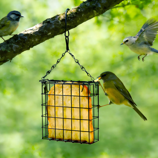 Rywell Hanging Suet Bird Feeder for Outdoors – Metal Suet Cage Feeder for Wild Birds, Single Suet Cake Capacity, Backyard Garden Bird Feeder