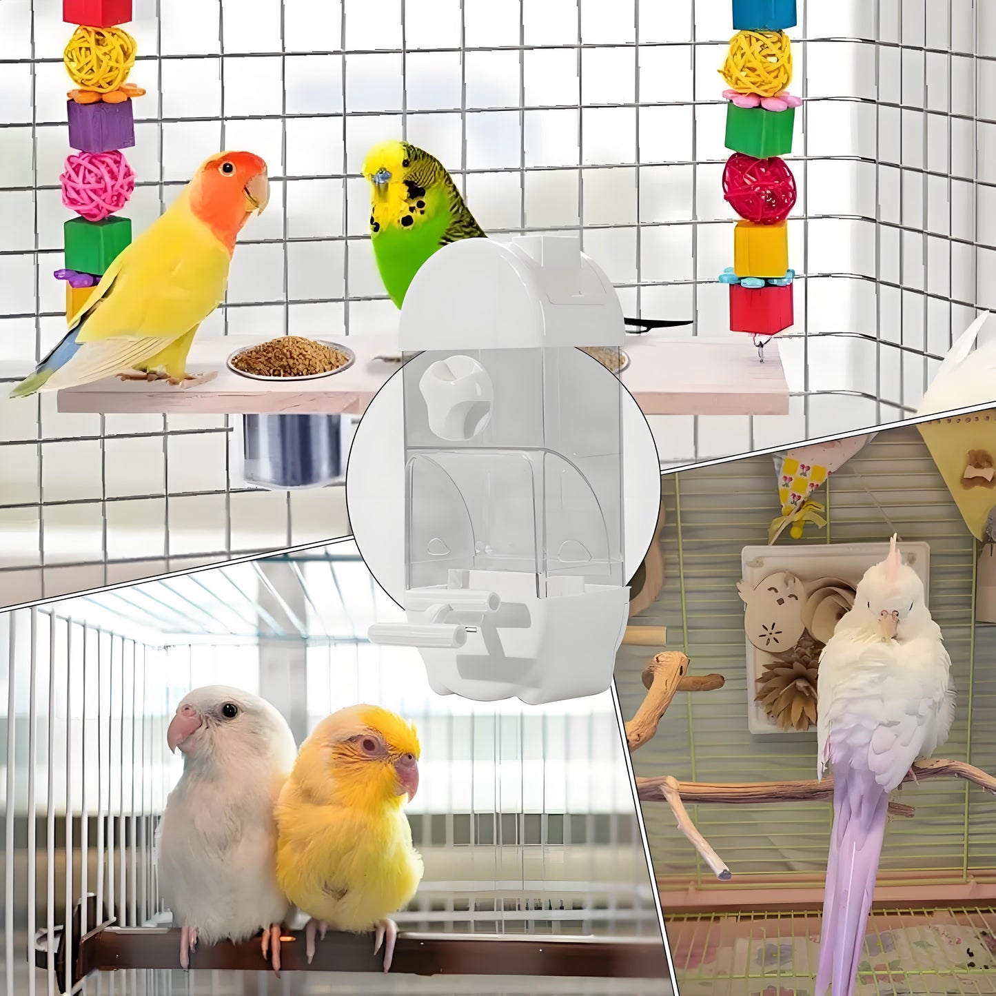 Rywell Smart Automatic Bird Feeder with Clear Large Capacity, Anti-Spill Design for Parakeets – Food & Water Dispenser