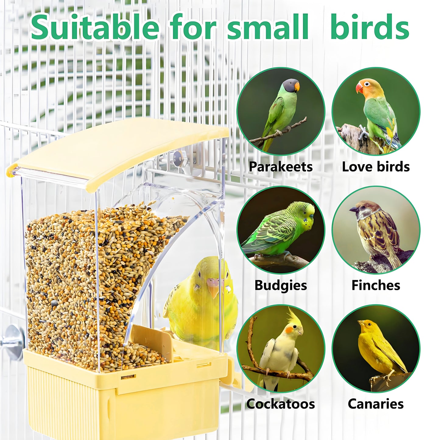 Rywell Automatic No Mess Bird Feeder with Perch – Acrylic Bird Cage Seed Food Container for Parakeets, Budgies, Finches, Lovebirds & Canaries