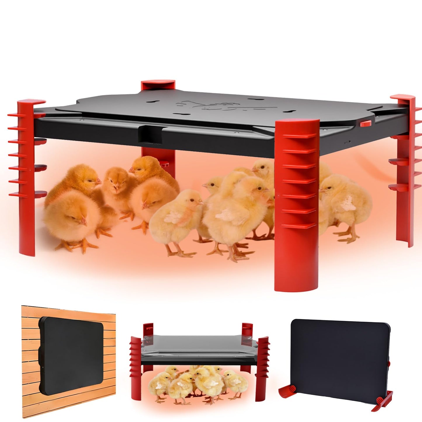 Habwell 150W Chick Brooder Heater Plate, 2-in-1 Adjustable Radiant Brooder Plate for Chicks & Poultry, Smart Thermostat, 16"x11", Safe & Energy Saving, Ideal for Brooders & Small Chicken Coops