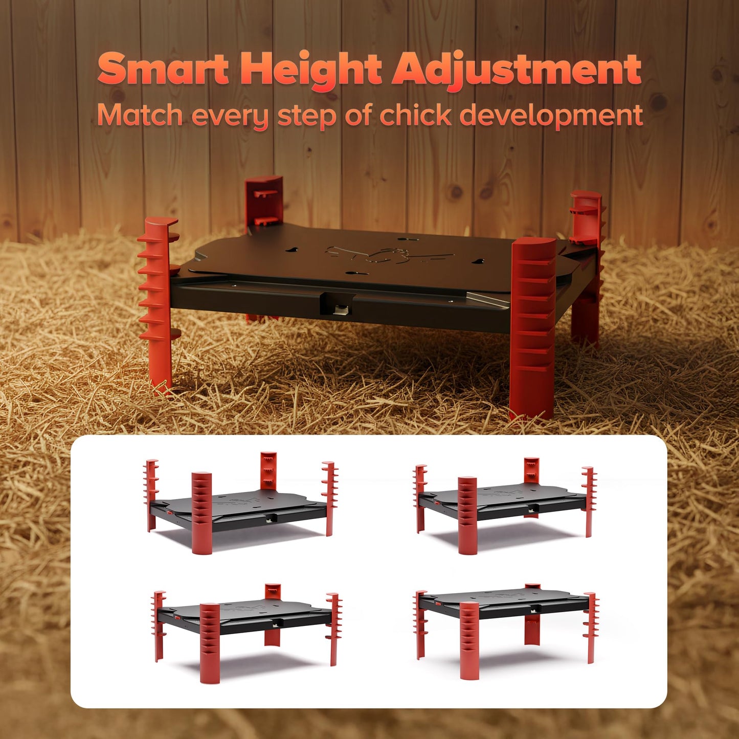 Habwell 150W Chick Brooder Heater Plate, 2-in-1 Adjustable Radiant Brooder Plate for Chicks & Poultry, Smart Thermostat, 16"x11", Safe & Energy Saving, Ideal for Brooders & Small Chicken Coops