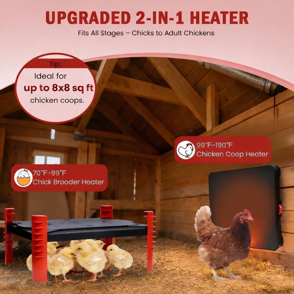 Habwell 150W Chick Brooder Heater Plate, 2-in-1 Adjustable Radiant Brooder Plate for Chicks & Poultry, Smart Thermostat, 16"x11", Safe & Energy Saving, Ideal for Brooders & Small Chicken Coops